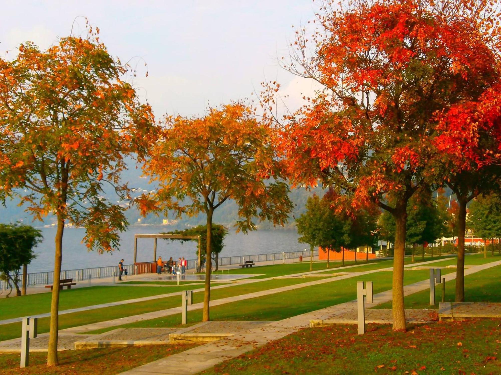 Lago Maggiore Holiday House, Lake View, Vignone Dumenza Esterno foto