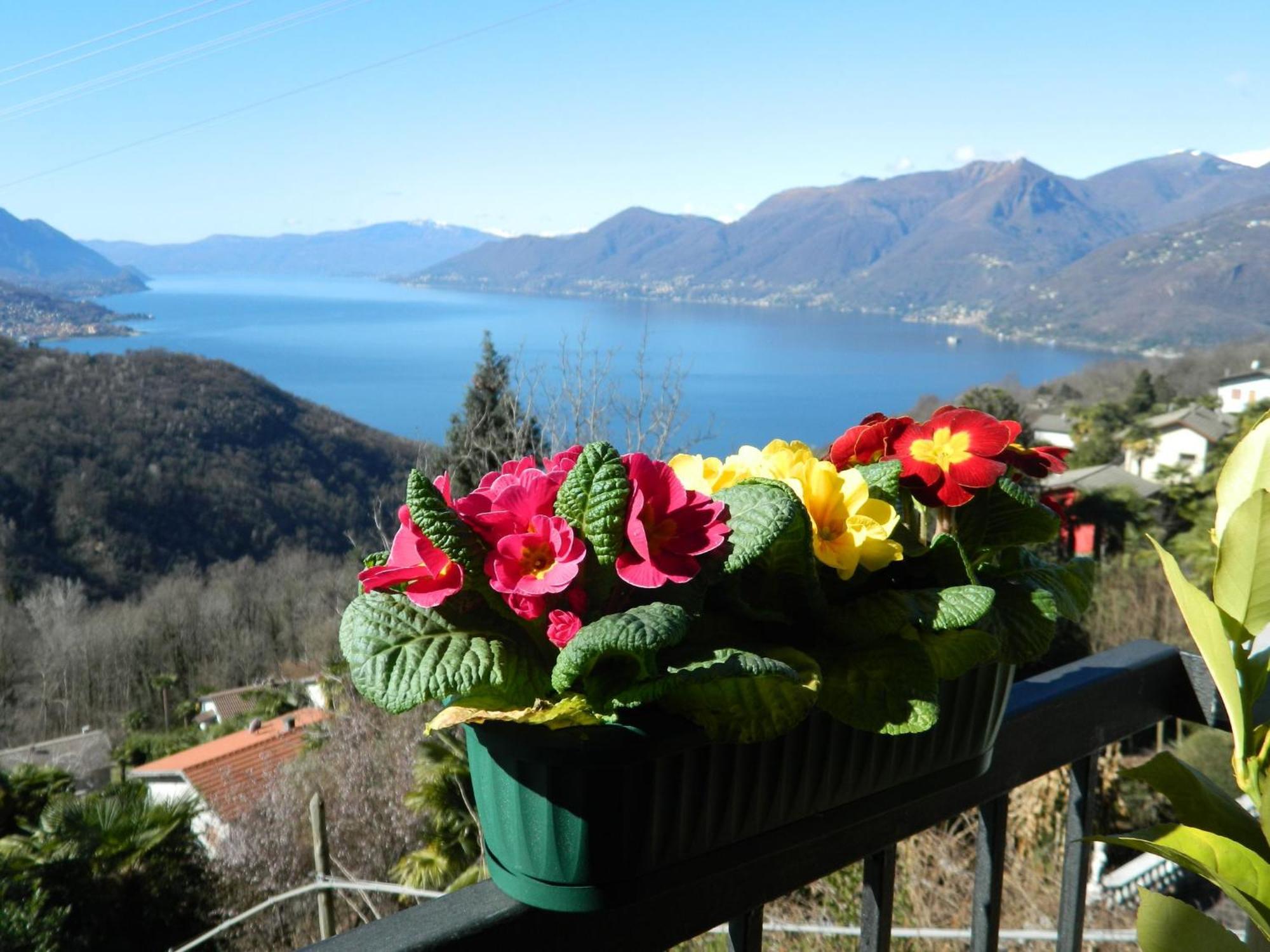 Lago Maggiore Holiday House, Lake View, Vignone Dumenza Esterno foto